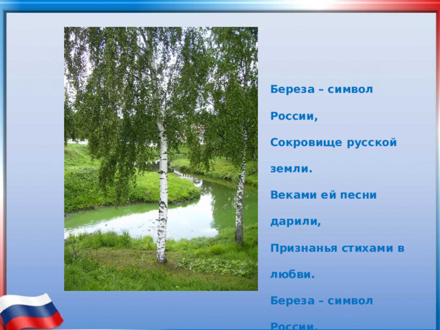 Символ русской березы. Русская берёзка символ России. Береза символ. Береза символ Родины моей.