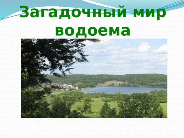 Загадочный мир водоема 