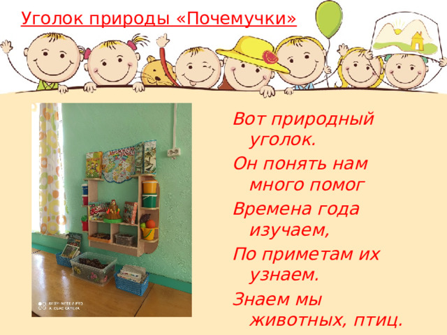 Уголок природы «Почемучки» Вот природный уголок. Он понять нам много помог Времена года изучаем, По приметам их узнаем. Знаем мы животных, птиц. И цветочки как полить. 