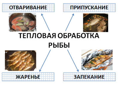 Классификация морепродуктов схема