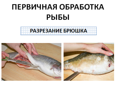 Тест обработка рыбы. Первичная обработка рыбы. Технология первичной обработки рыбы. Ножи для обработки рыбы.