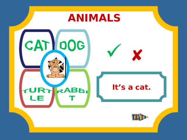 ANIMALS              It’s a cat. 