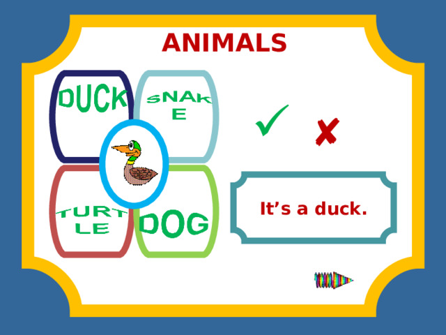MALS ANIMALS              It’s a duck. 