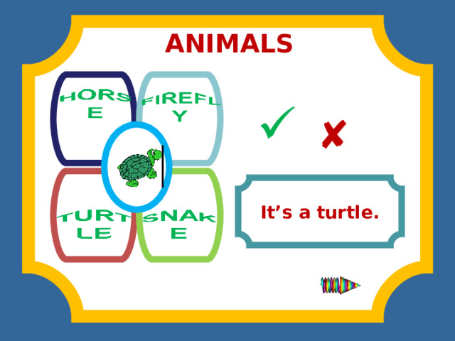 ANIMALS              It’s a turtle. 