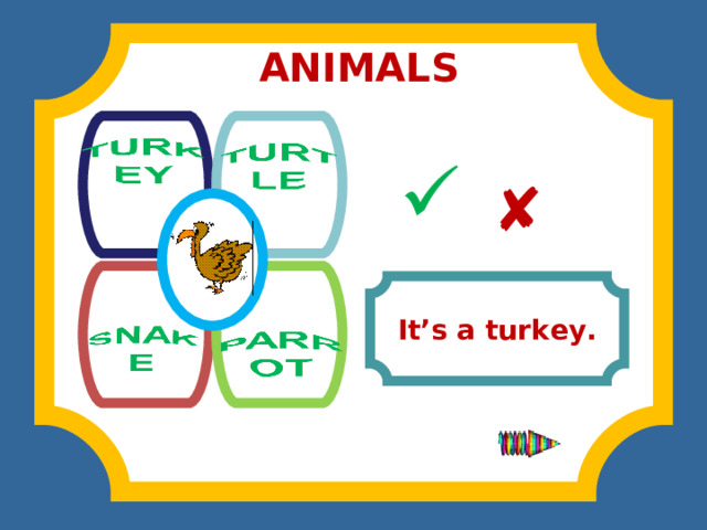 ANIMALS              It’s a turkey. 