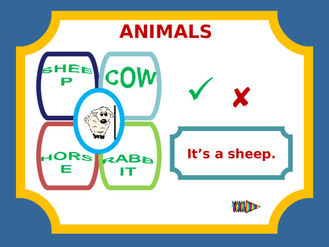 ANIMALS              It’s a sheep. 