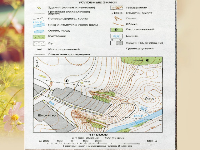 Чертеж изображающий земную поверхность в уменьшенном виде это