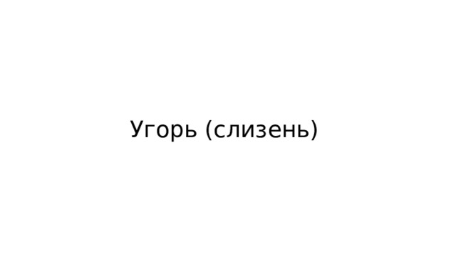 Угорь (слизень) 