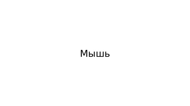 Мышь 