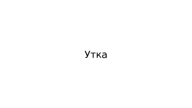 Утка 