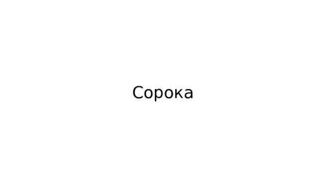 Сорока 