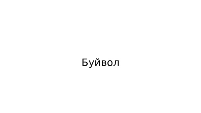 Буйвол 