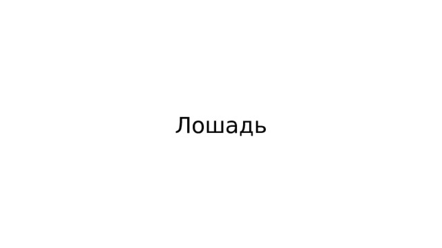 Лошадь 