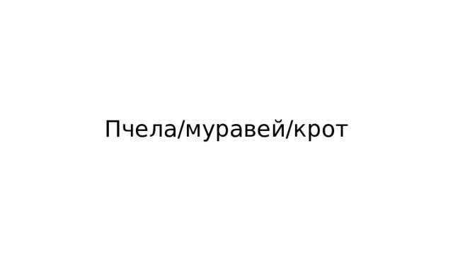 Пчела/муравей/крот 