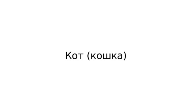 Кот (кошка) 