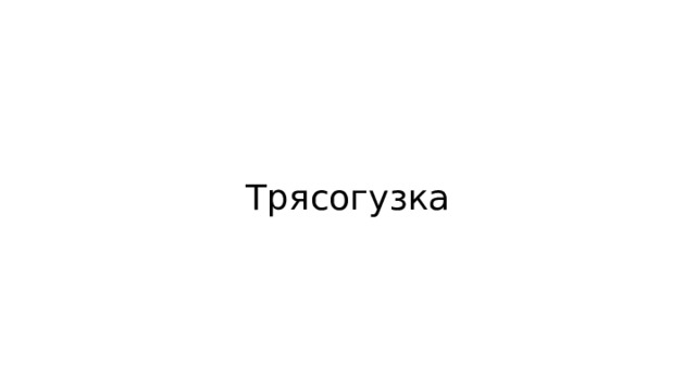 Трясогузка 