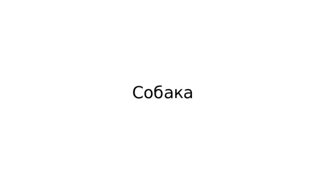 Собака 