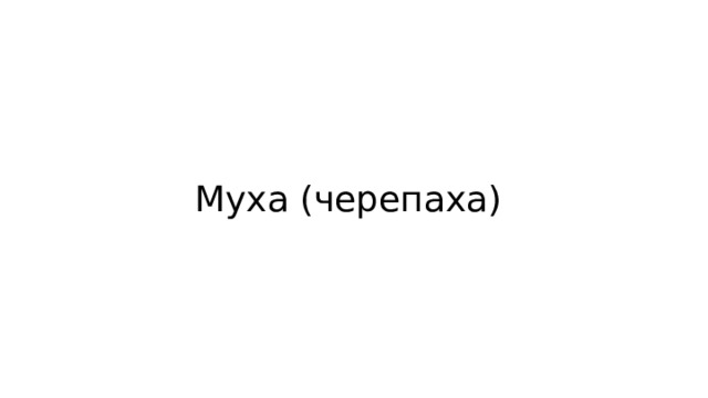 Муха (черепаха) 