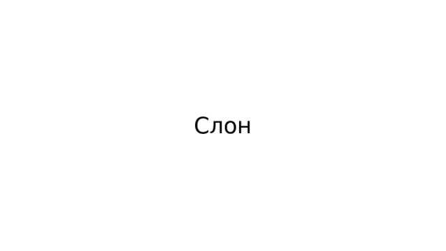 Слон 