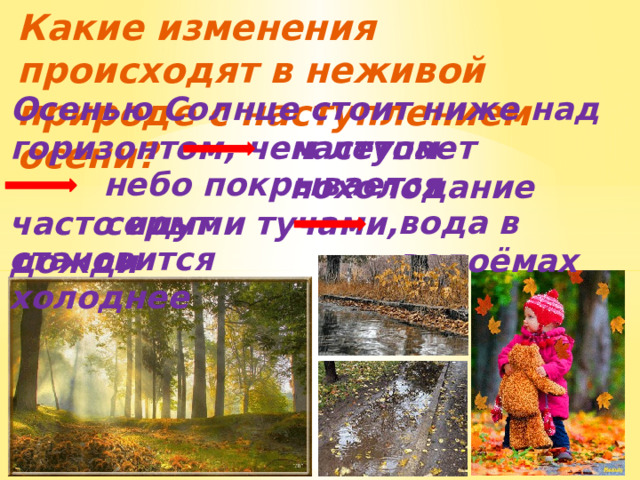 Какие изменения происходят в неживой природе с наступлением осени? Осенью Солнце стоит ниже над горизонтом, чем летом наступает похолодание небо покрывается серыми тучами, вода в водоёмах часто идут дожди   становится холоднее 
