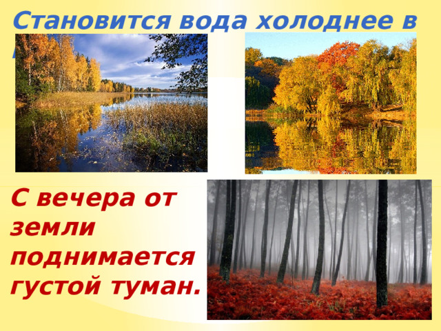Становится вода холоднее в водоёмах. С вечера от земли поднимается густой туман. 