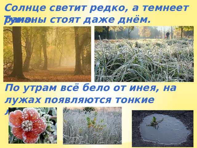 Солнце светит редко, а темнеет рано. Туманы стоят даже днём.  По утрам всё бело от инея, на лужах появляются тонкие льдинки. 