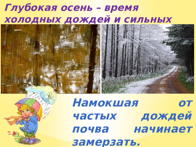 Глубокая осень – время холодных дождей и сильных заморозков. Намокшая от частых дождей почва начинает замерзать. 