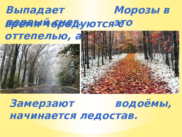 Выпадает первый снег. Морозы в это  время чередуются с оттепелью, а снег с дождём.  Замерзают водоёмы, начинается ледостав. 