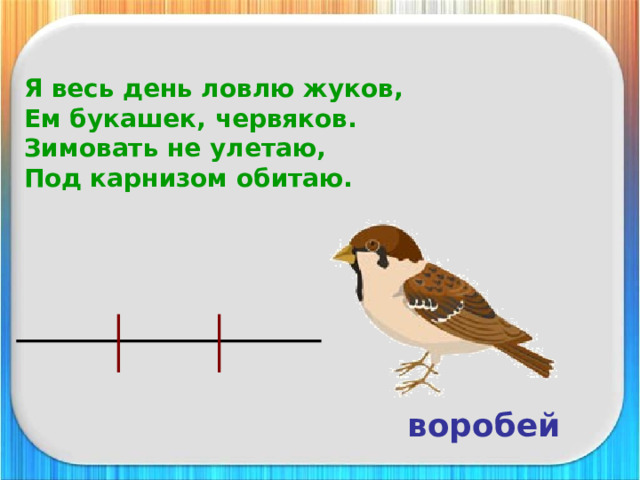 Я весь день ловлю жуков,  Ем букашек, червяков.  Зимовать не улетаю,  Под карнизом обитаю. воробей 