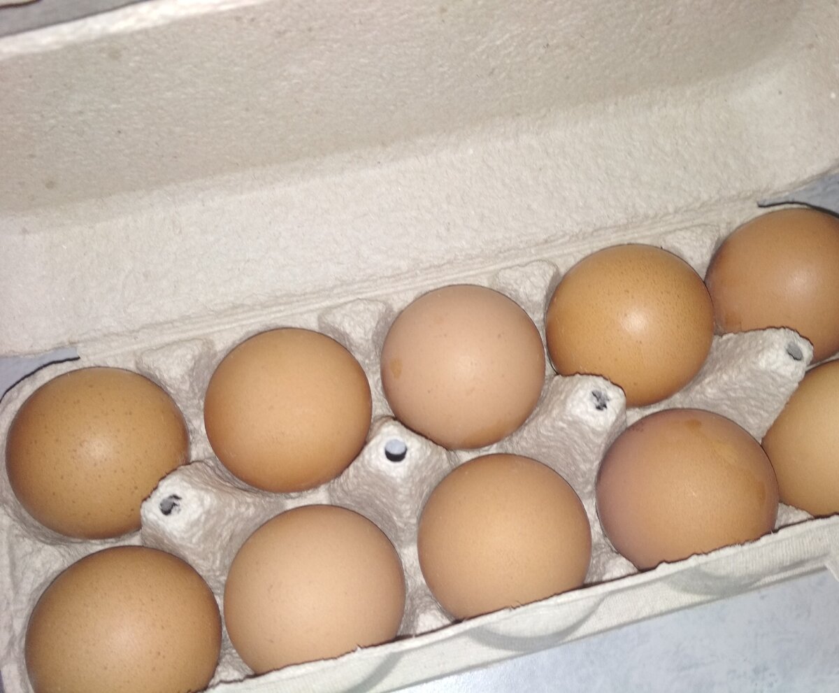 Купить яйцо в белгородской области. Яйцо куриное. Девяток яиц. Яйцо куриное десяток. Домашние яйца.