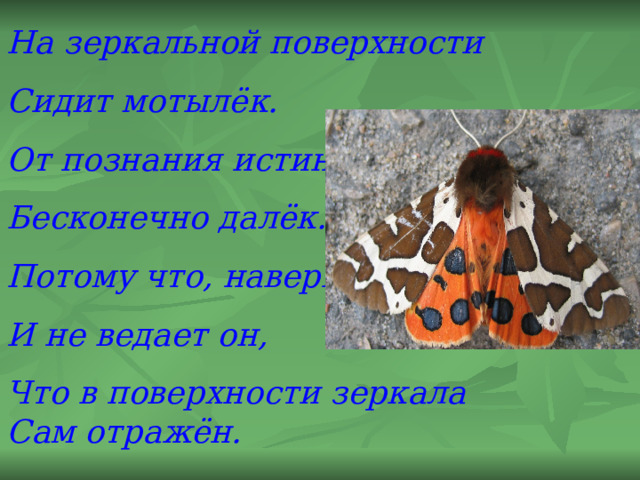 На зеркальной поверхности Сидит мотылёк. От познания истины Бесконечно далёк. Потому что, наверное, И не ведает он, Что в поверхности зеркала  Сам отражён. 