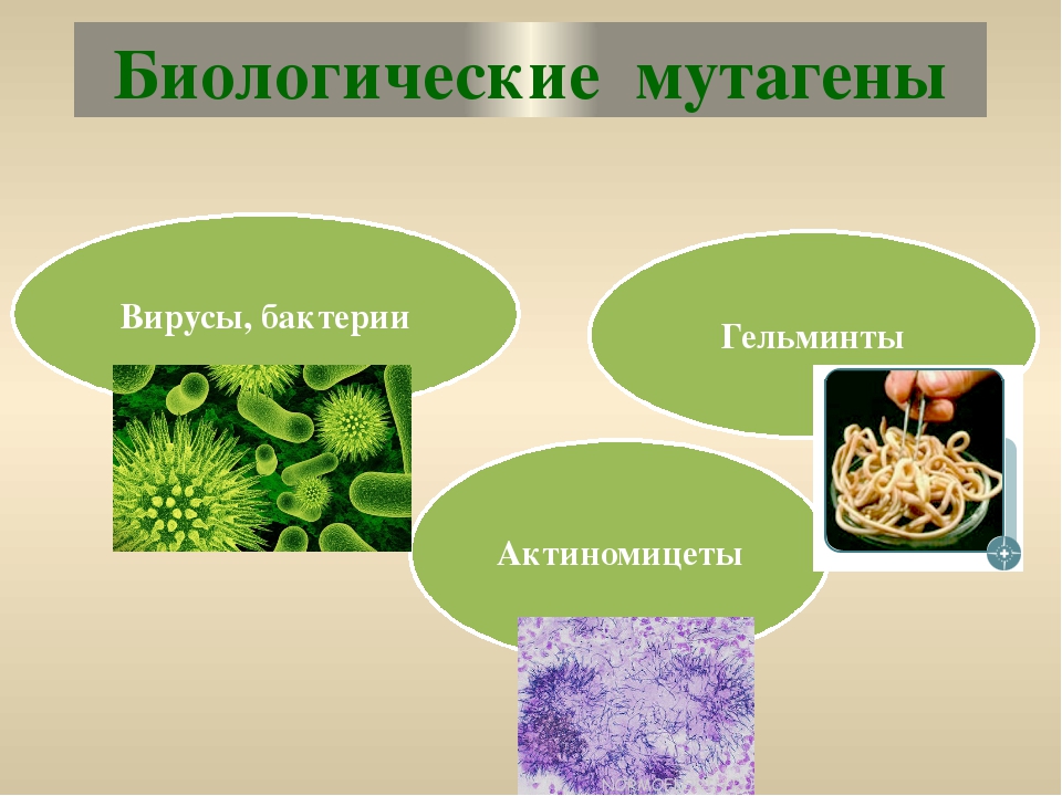 Мутагены проект по биологии