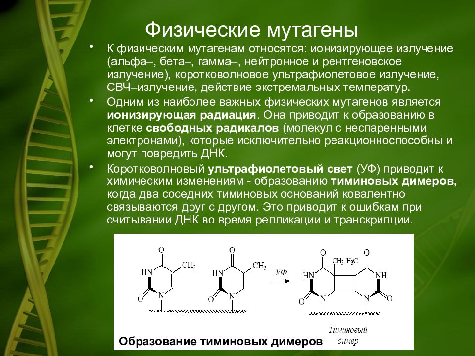 Вещества являющиеся одновременно и канцерогенами и мутагенами. Физические мутагены. Ионизирующие мутагены. К физическим мутагенам относятся. Мутагены физические химические биологические.