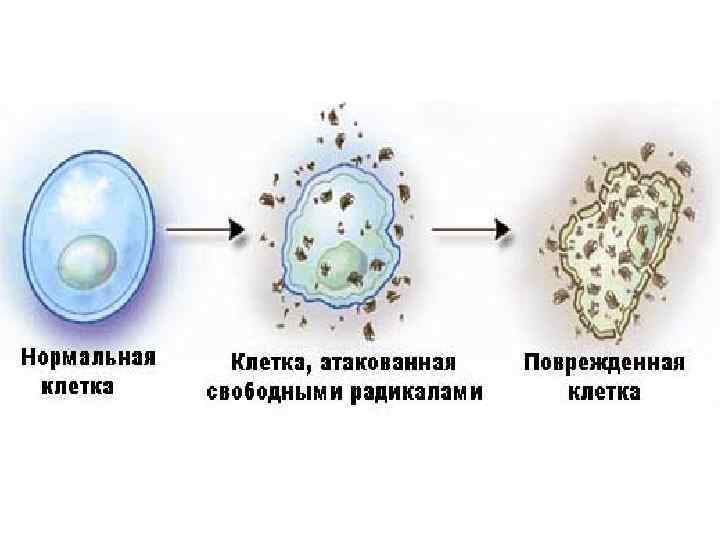 Свободные радикалы картинки