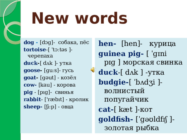 New words dog - [dɔg]- собака, пёс hen- [hen]- курица guinea pig- [ ˈɡɪni pɪɡ ] морская свинка tortoise -[ ˈtɔːtəs ]- черепаха duck -[ dʌk ] -утка duck - [ dʌk ]- утка goose - [guːs]- гусь budgie- [ ˈbʌdʒi ]-волнистый попугайчик goat - [gəut] - козёл cat- [ kæt ]-кот cow- [kau] - корова goldfish- [ˈgəʊldfɪʃ ]- золотая рыбка pig  - [pıg]- свинья rabbit - ['ræbıt] - кролик sheep- [ʃi:p] - овца 