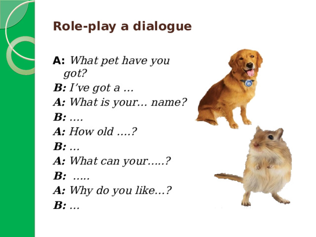 Role-play a dialogue   A:  What pet have you got? B: I’ve got a … A: What is your… name? B: …. A: How old ….? B: … A: What can your…..? B: ….. A: Why do you like…? B: … 