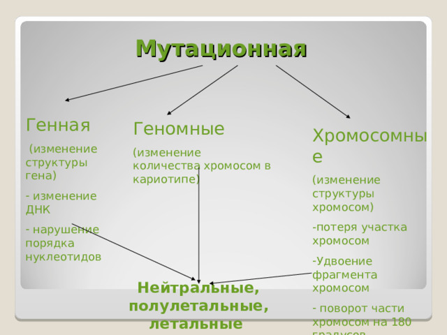 Заполните схему изменчивость цитоплазматическая комбинативная геномная