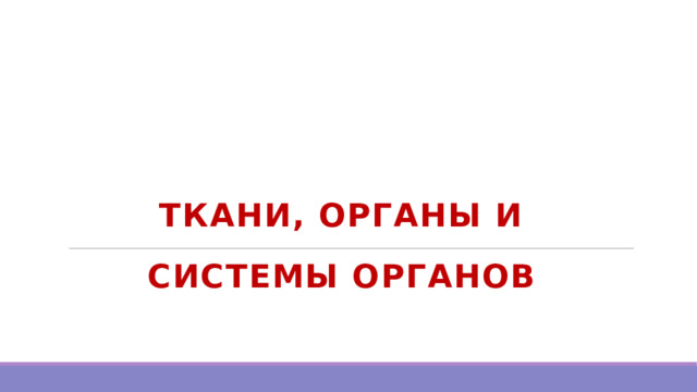 Ткани, органы и системы органов 