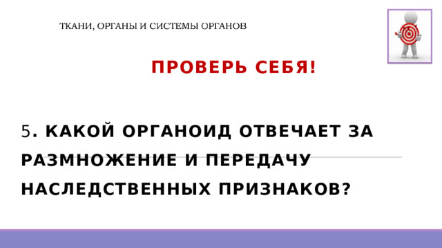   Проверь Себя!  5 . КАКОЙ ОРГАНОИД ОТВЕЧАЕТ ЗА РАЗМНОЖЕНИЕ И ПЕРЕДАЧУ НАСЛЕДСТВЕННЫХ ПРИЗНАКОВ?   