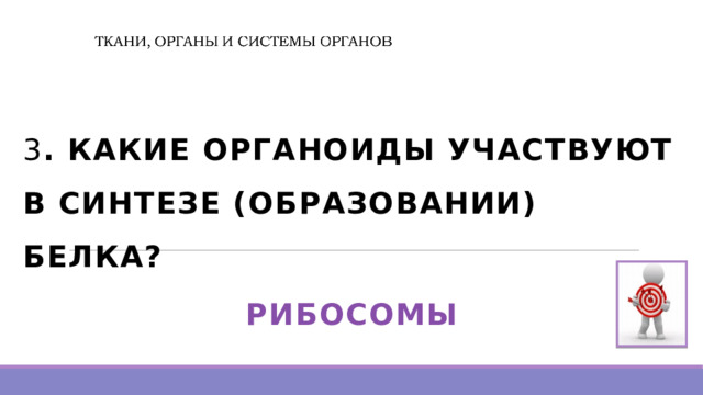  3 . КАКИЕ ОРГАНОИДЫ УЧАСТВУЮТ В СИНТЕЗЕ (ОБРАЗОВАНИИ) БЕЛКА? РИБОСОМЫ  