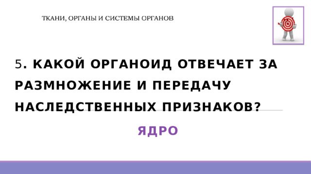  5 . КАКОЙ ОРГАНОИД ОТВЕЧАЕТ ЗА РАЗМНОЖЕНИЕ И ПЕРЕДАЧУ НАСЛЕДСТВЕННЫХ ПРИЗНАКОВ? ЯДРО   