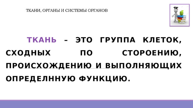   ТКАНЬ – ЭТО ГРУППА КЛЕТОК, СХОДНЫХ ПО СТОРОЕНИЮ, ПРОИСХОЖДЕНИЮ И ВЫПОЛНЯЮЩИХ ОПРЕДЕЛННУЮ ФУНКЦИЮ. 