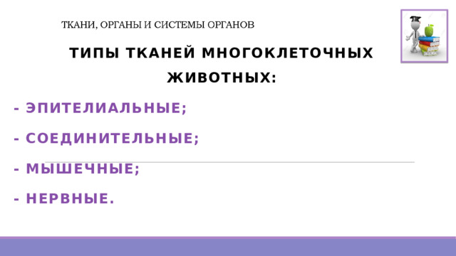 ТИПЫ ТКАНЕЙ МНОГОКЛЕТОЧНЫХ ЖИВОТНЫХ: - ЭПИТЕЛИАЛЬНЫЕ; - СОЕДИНИТЕЛЬНЫЕ; - МЫШЕЧНЫЕ; - НЕРВНЫЕ. 