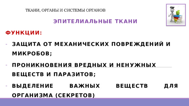  ЭПИТЕЛИАЛЬНЫЕ  ТКАНИ ФУНКЦИИ: ЗАЩИТА ОТ МЕХАНИЧЕСКИХ ПОВРЕЖДЕНИЙ И МИКРОБОВ; ПРОНИКНОВЕНИЯ ВРЕДНЫХ И НЕНУЖНЫХ ВЕЩЕСТВ И ПАРАЗИТОВ; ВЫДЕЛЕНИЕ ВАЖНЫХ ВЕЩЕСТВ ДЛЯ ОРГАНИЗМА (СЕКРЕТОВ)  