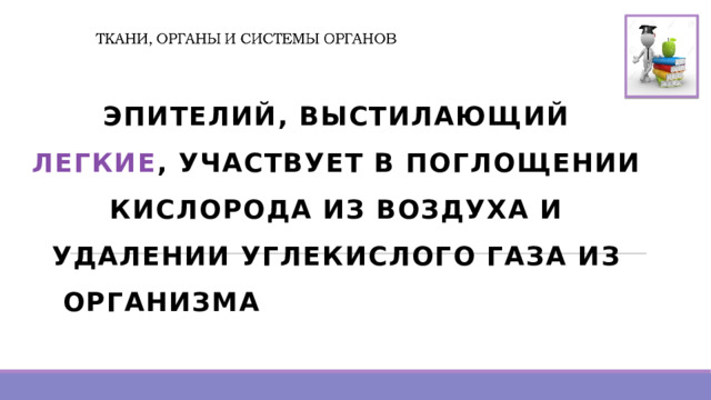  ЭПИТЕЛИЙ, ВЫСТИЛАЮЩИЙ ЛЕГКИЕ , УЧАСТВУЕТ В ПОГЛОЩЕНИИ КИСЛОРОДА ИЗ ВОЗДУХА И УДАЛЕНИИ УГЛЕКИСЛОГО ГАЗА ИЗ ОРГАНИЗМА  