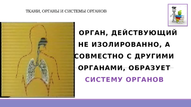   ОРГАН, ДЕЙСТВУЮЩИЙ НЕ ИЗОЛИРОВАННО, А СОВМЕСТНО С ДРУГИМИ ОРГАНАМИ, ОБРАЗУЕТ СИСТЕМУ ОРГАНОВ 