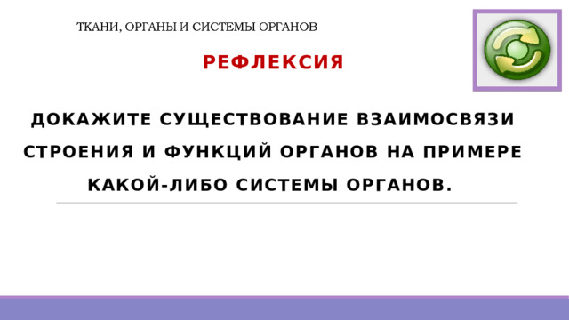 РЕФЛЕКСИя  ДОКАЖИТЕ СУЩЕСТВОВАНИЕ ВЗАИМОСВЯЗИ СТРОЕНИЯ И ФУНКЦИЙ ОРГАНОВ НА ПРИМЕРЕ КАКОЙ-ЛИБО СИСТЕМЫ ОРГАНОВ.        