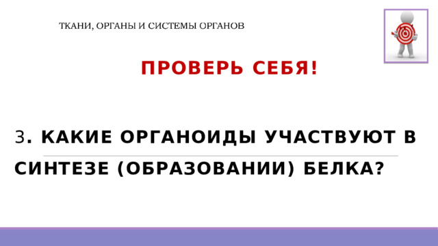  Проверь Себя!  3 . КАКИЕ ОРГАНОИДЫ УЧАСТВУЮТ В СИНТЕЗЕ (ОБРАЗОВАНИИ) БЕЛКА?  
