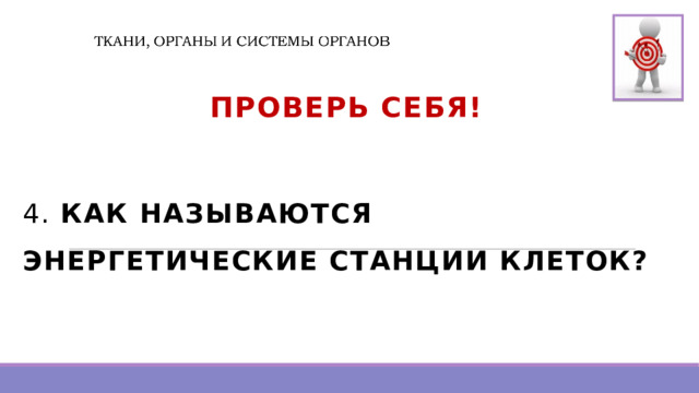  Проверь Себя!  4. КАК НАЗЫВАЮТСЯ ЭНЕРГЕТИЧЕСКИЕ СТАНЦИИ КЛЕТОК?   