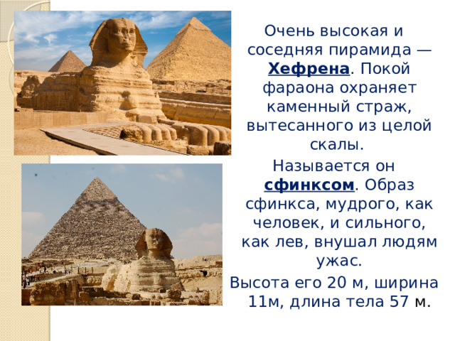 Очень высокая и соседняя пирамида — Хефрена . Покой фараона охраняет каменный страж, вытесанного из целой скалы. Называется он сфинксом . Образ сфинкса, мудрого, как человек, и сильного, как лев, внушал людям ужас. Высота его 20 м, ширина 11м, длина тела 57 м. 